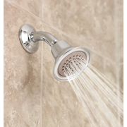 6313BN - Brushed Nickel