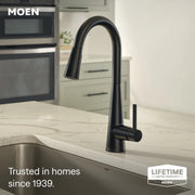 7864BL - Matte Black
