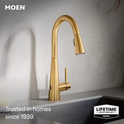 7864EWBG - Brushed Gold