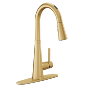 7864EVBG - Brushed Gold