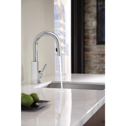 S62308 - Chrome