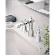 TS6985 - Chrome