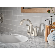 WS84660SRN - Spot Resist Brushed Nickel