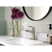 WSL84733SRN - Spot Resist Brushed Nickel