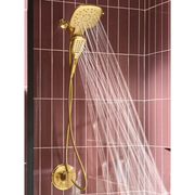 220C5BG - Brushed Gold