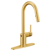 7565EWBG - Brushed Gold