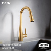7864BG - Brushed Gold