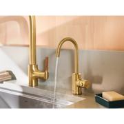 IH7660BG - Brushed Gold