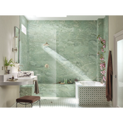 TS578NLBN - Brushed Nickel/Polished Nickel