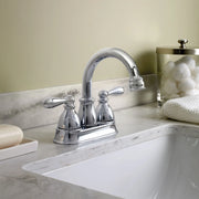WS84667 - Chrome