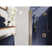 161951BN - Brushed Nickel