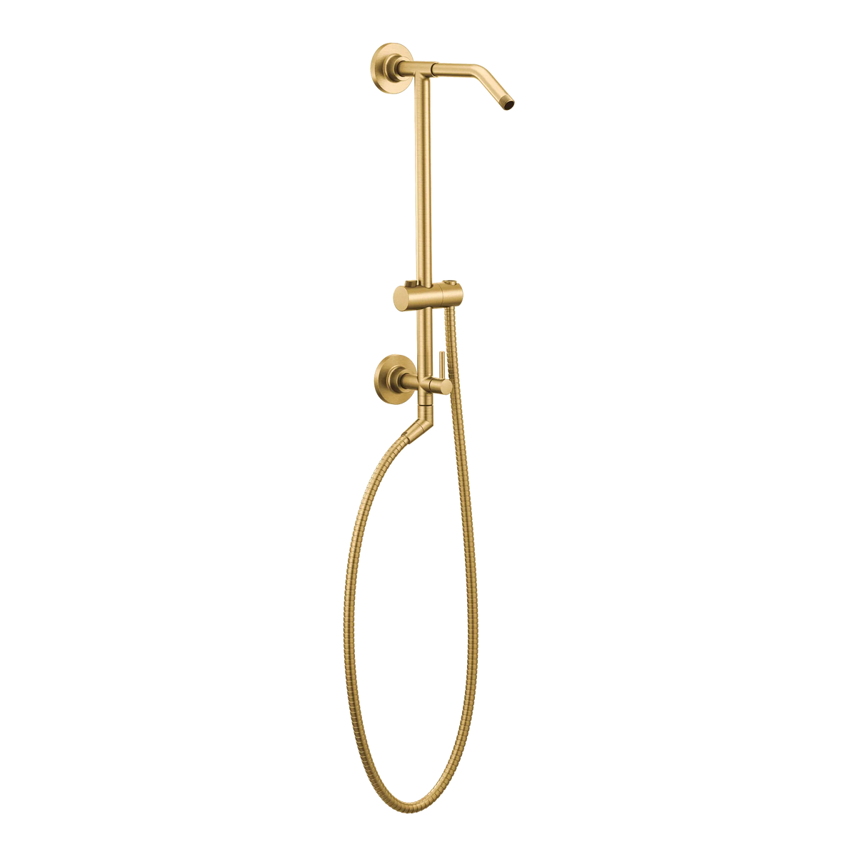 TS3661NHBG - Brushed Gold