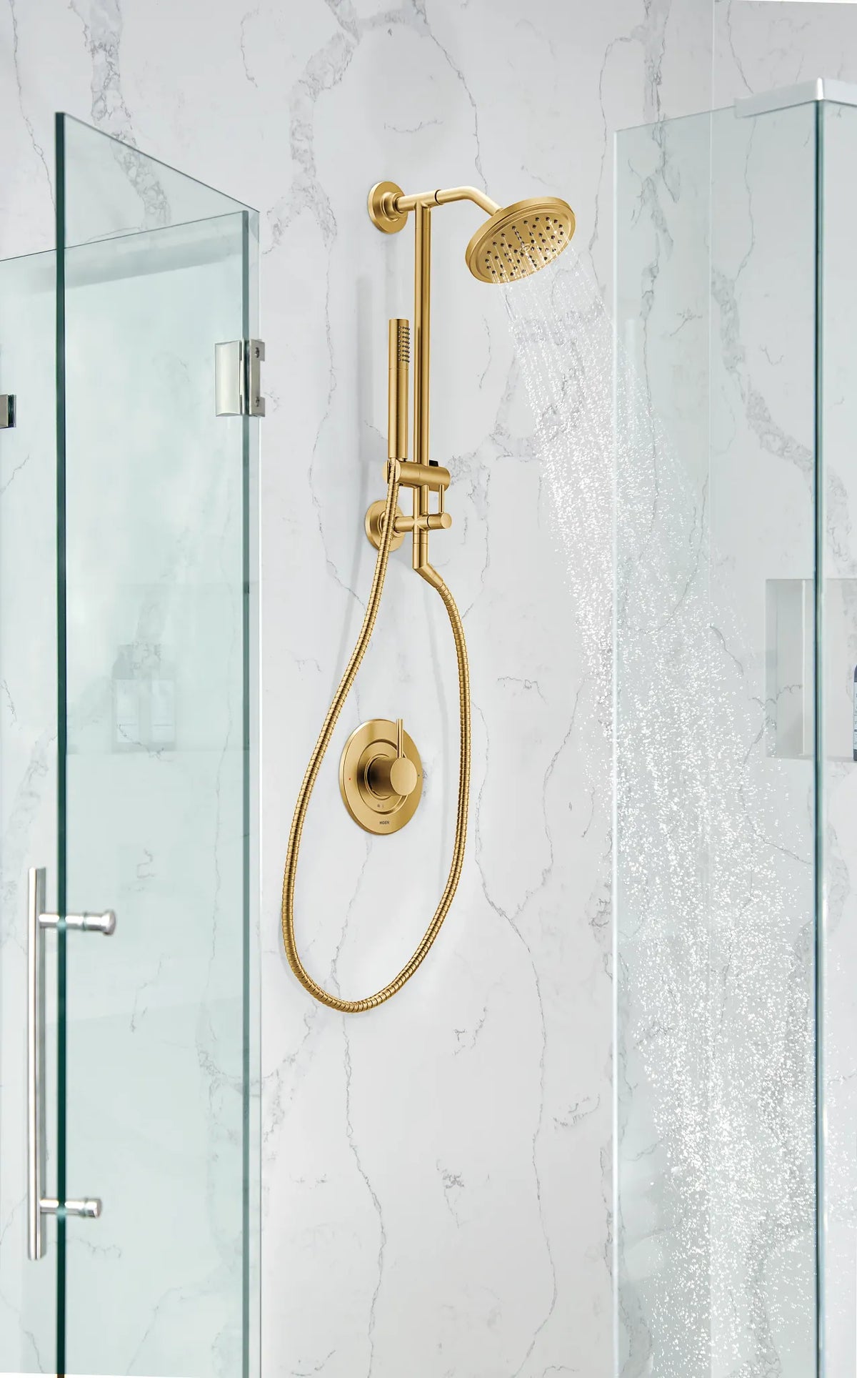 TS3661NHBG - Brushed Gold