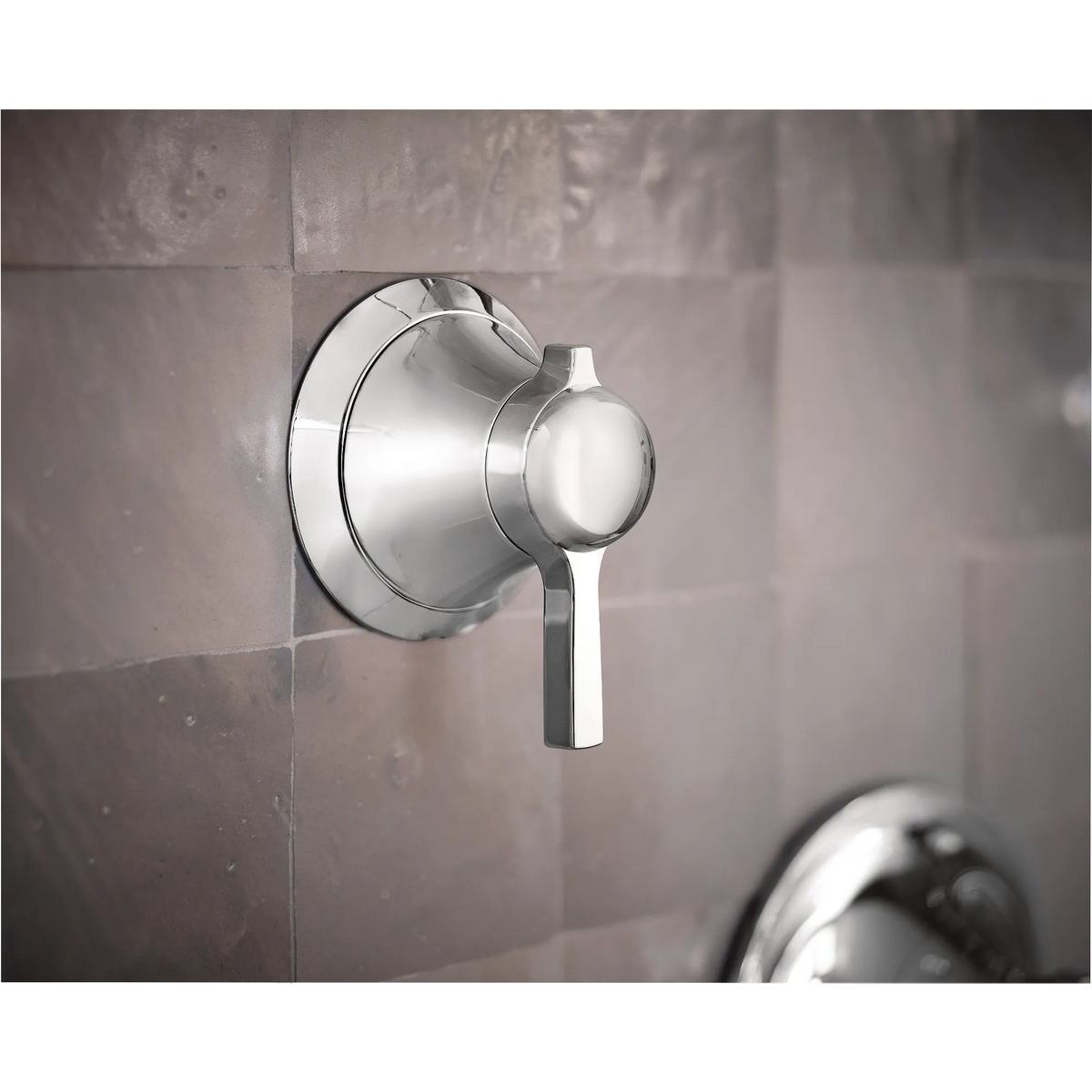 TS4202 - Chrome
