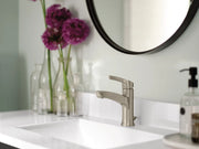 WSL84733SRN - Spot Resist Brushed Nickel
